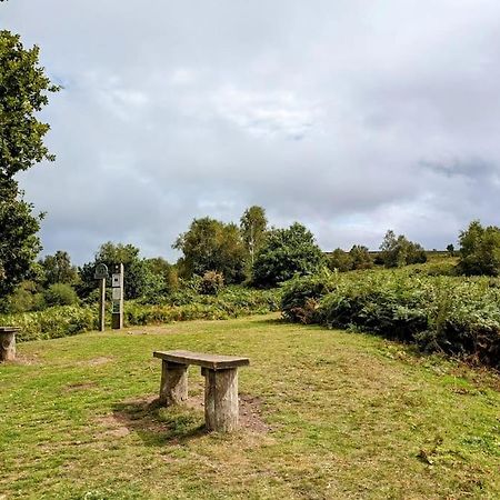 Astella Lodge. West Quantoxhead ภายนอก รูปภาพ